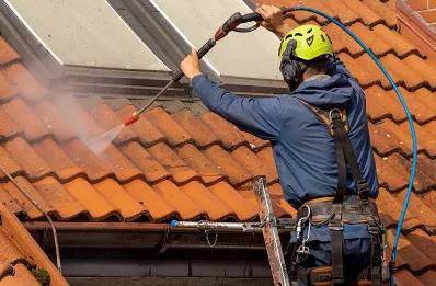 Démoussage et hydrofuge de toiture à Chastanier